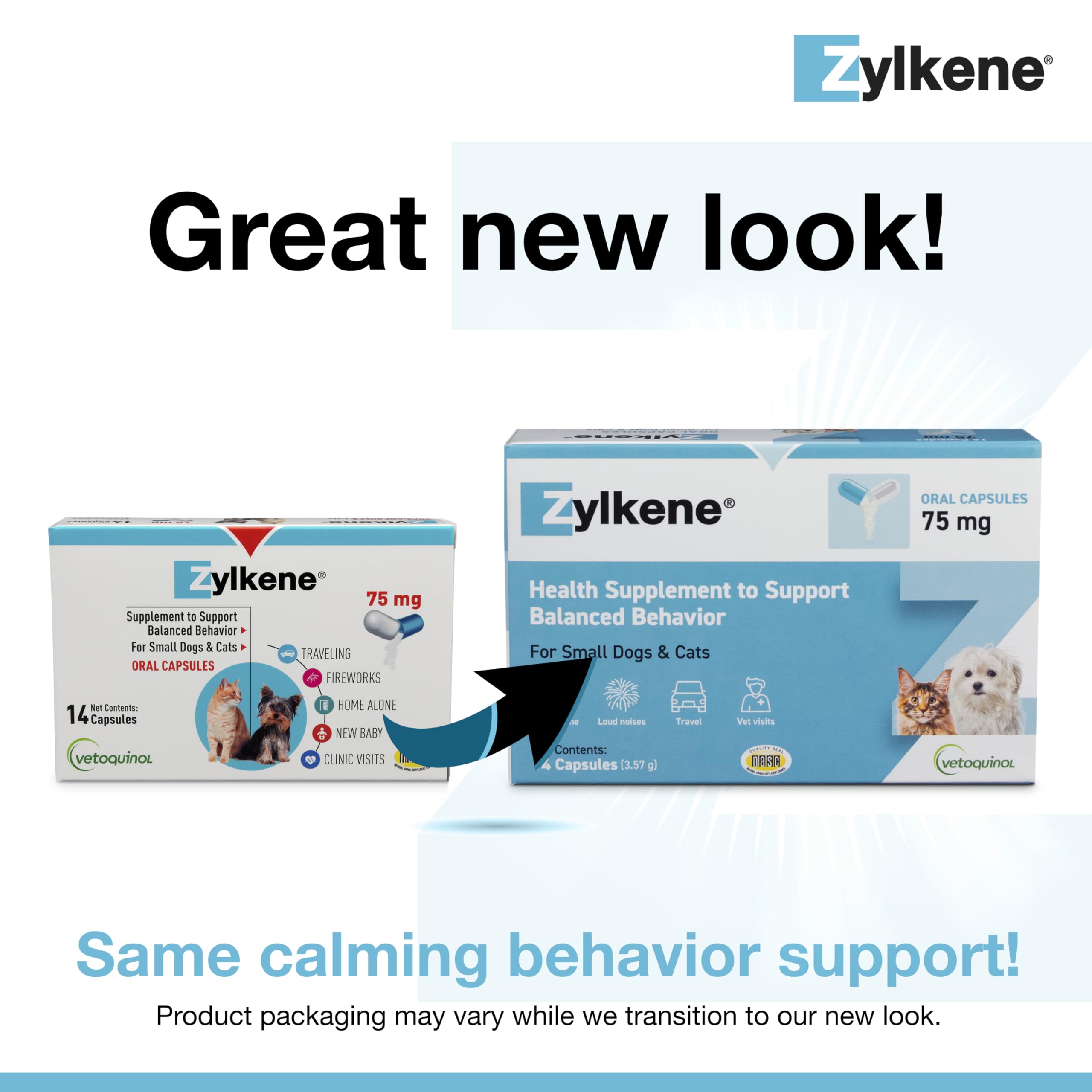 Vetoquinol Zylkene capsule close-up highlighting gentle, lactose-free ingredients.