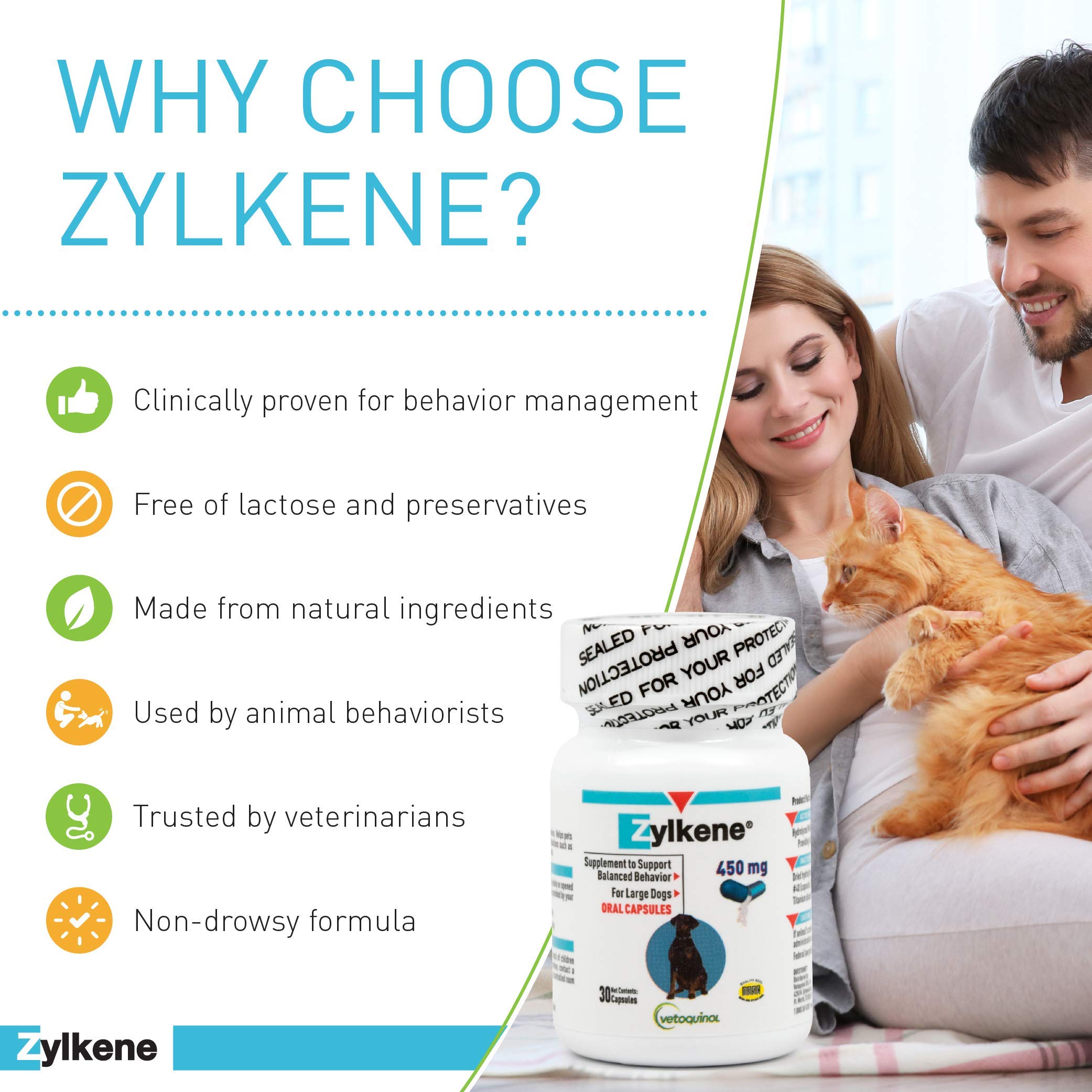 Vetoquinol Zylkene supports calm during car rides for anxious dogs