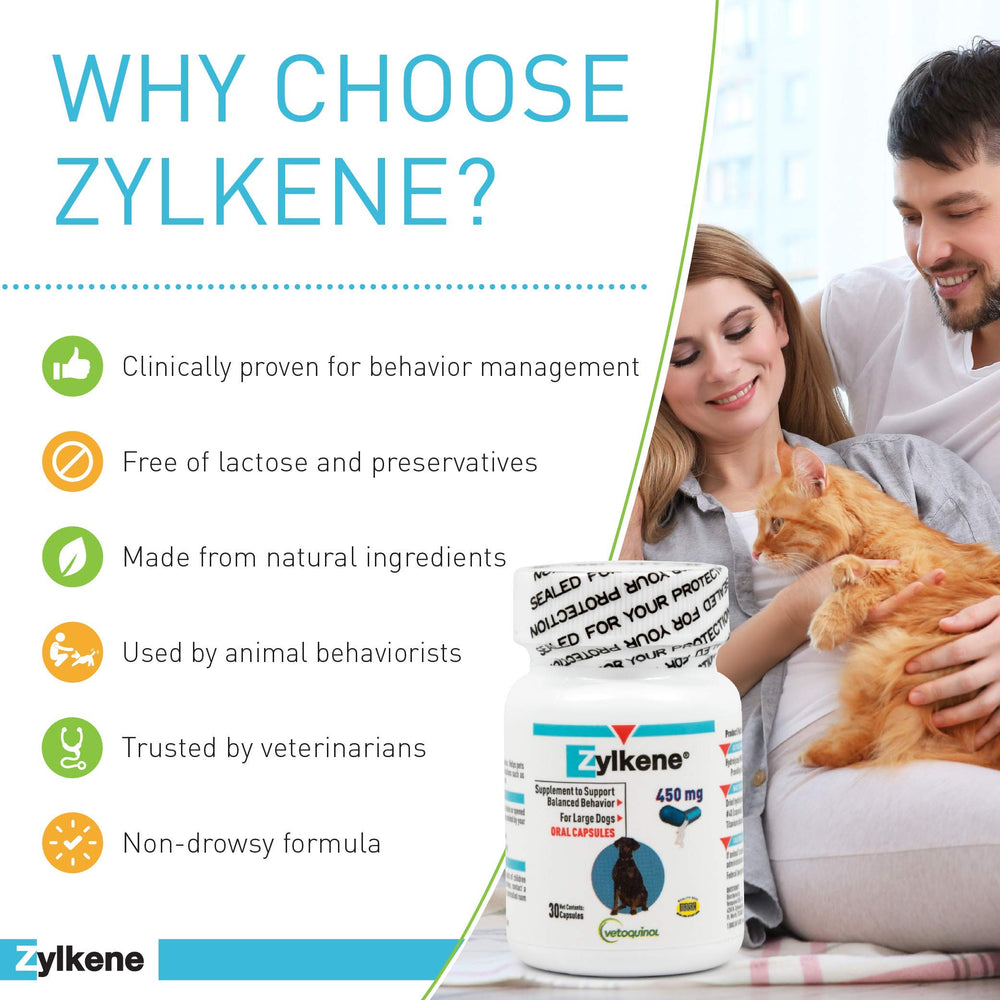 Vetoquinol Zylkene supports calm during car rides for anxious dogs