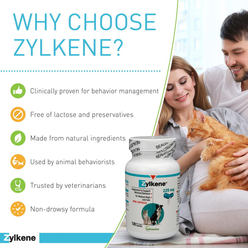 Dog eats Zylkene-enhanced meal for calmness during routine