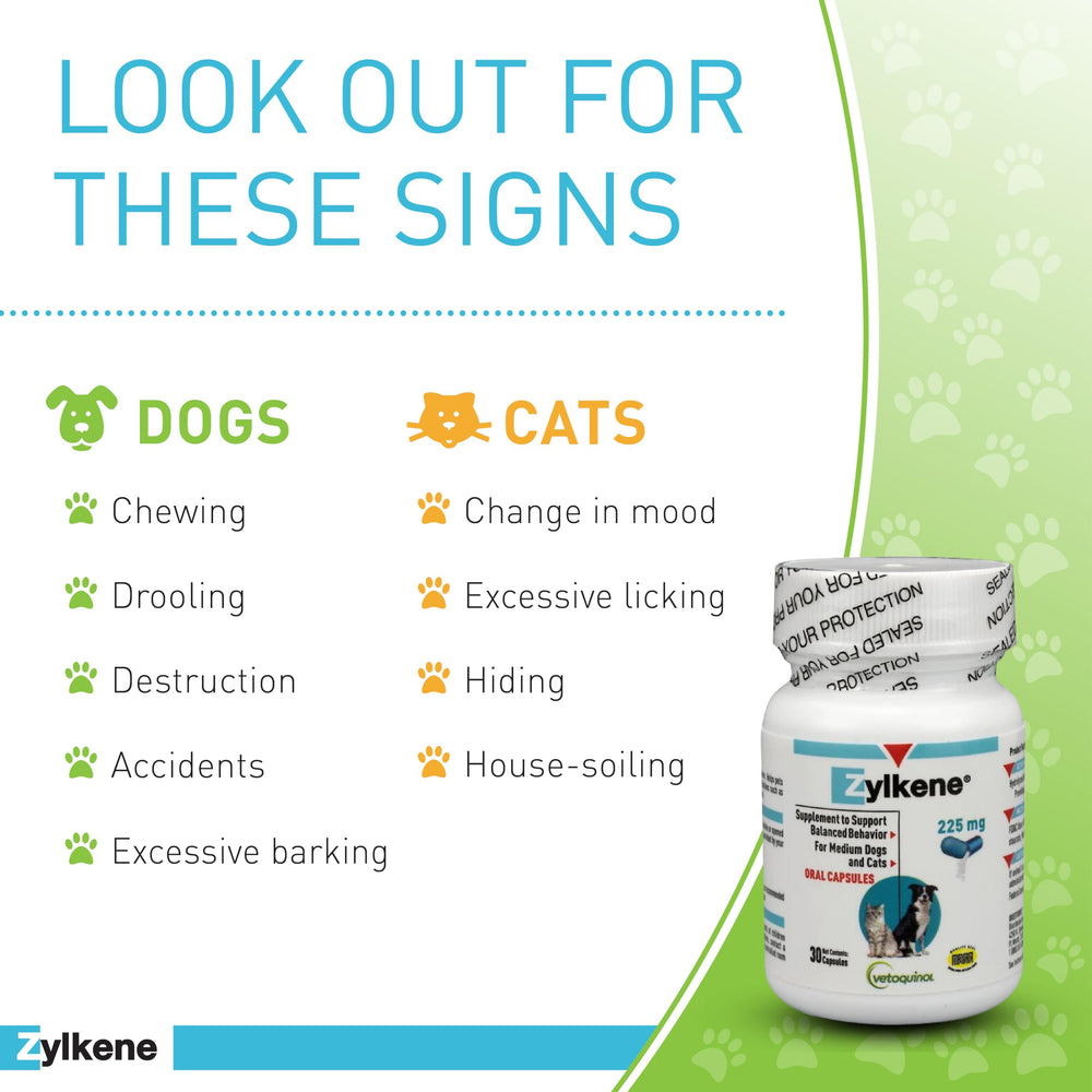 Vetoquinol Zylkene food dish with capsule drop highlights easy administration.