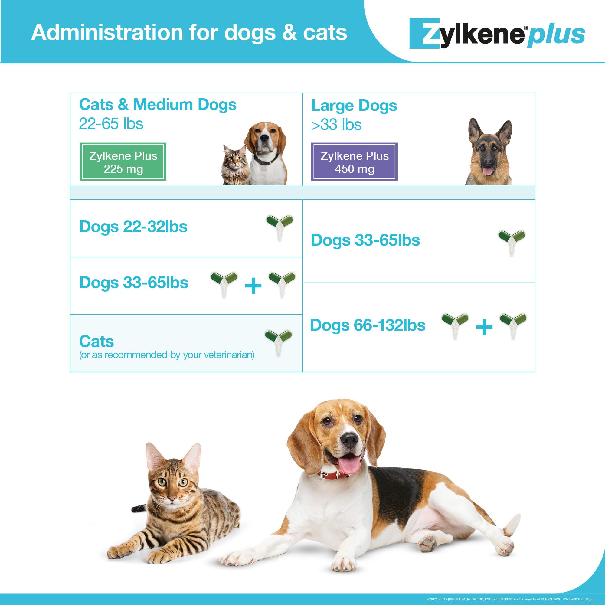 Cat enjoying calm with Zylkene Plus, lactose-free formula.