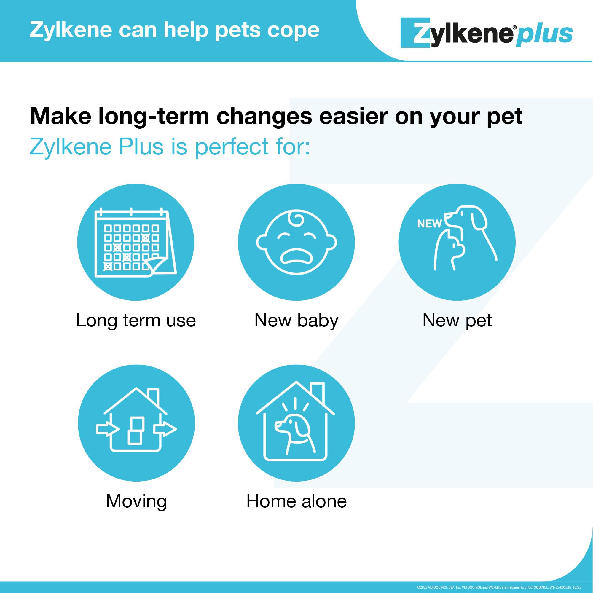 Dog close-up using Zylkene Plus during a stressful moment.