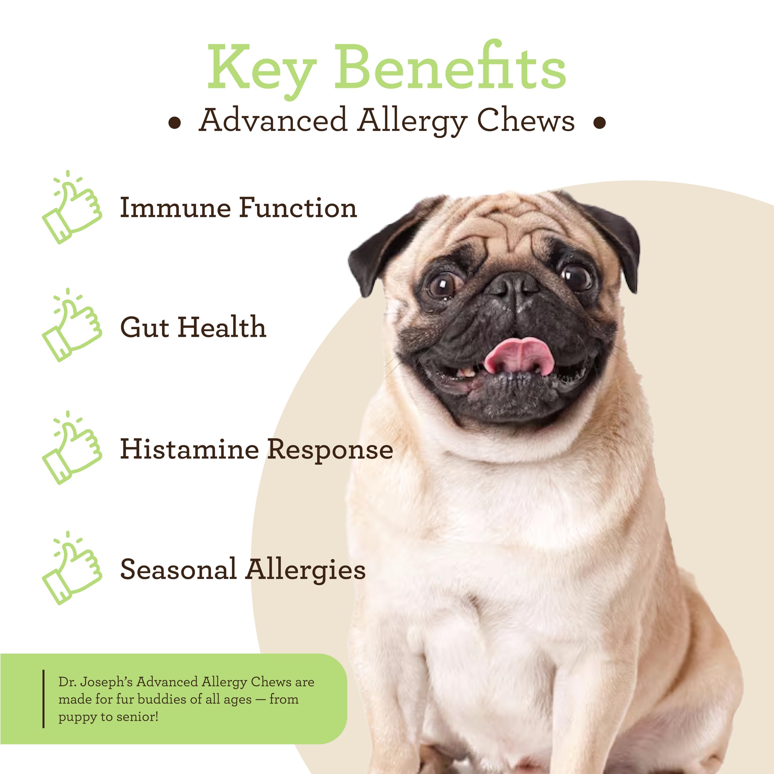 Active dog enjoying VetPro chews during walk.