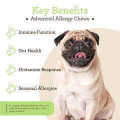 Active dog enjoying VetPro chews during walk.