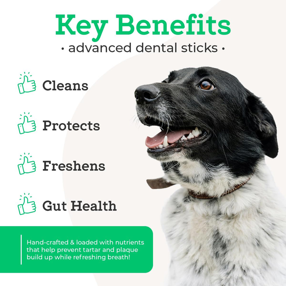 VetPro Complete Advanced Dental Sticks box and sticks close-up shows sticks ready for routine dental care.