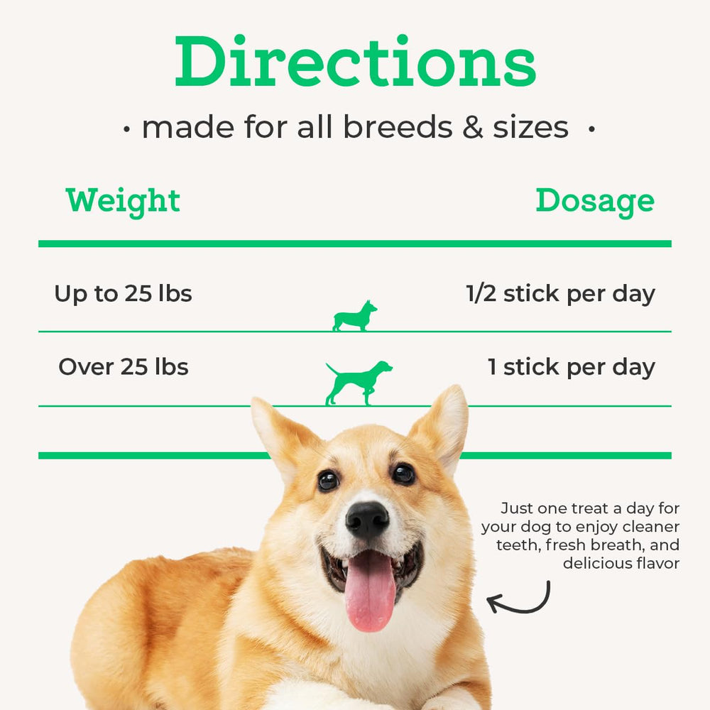 VetPro Complete sticks, dog-friendly texture, fit into daily dental routines.