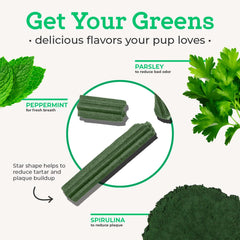 VetPro Complete peppermint flavor visual suggests fresh breath support after meals.