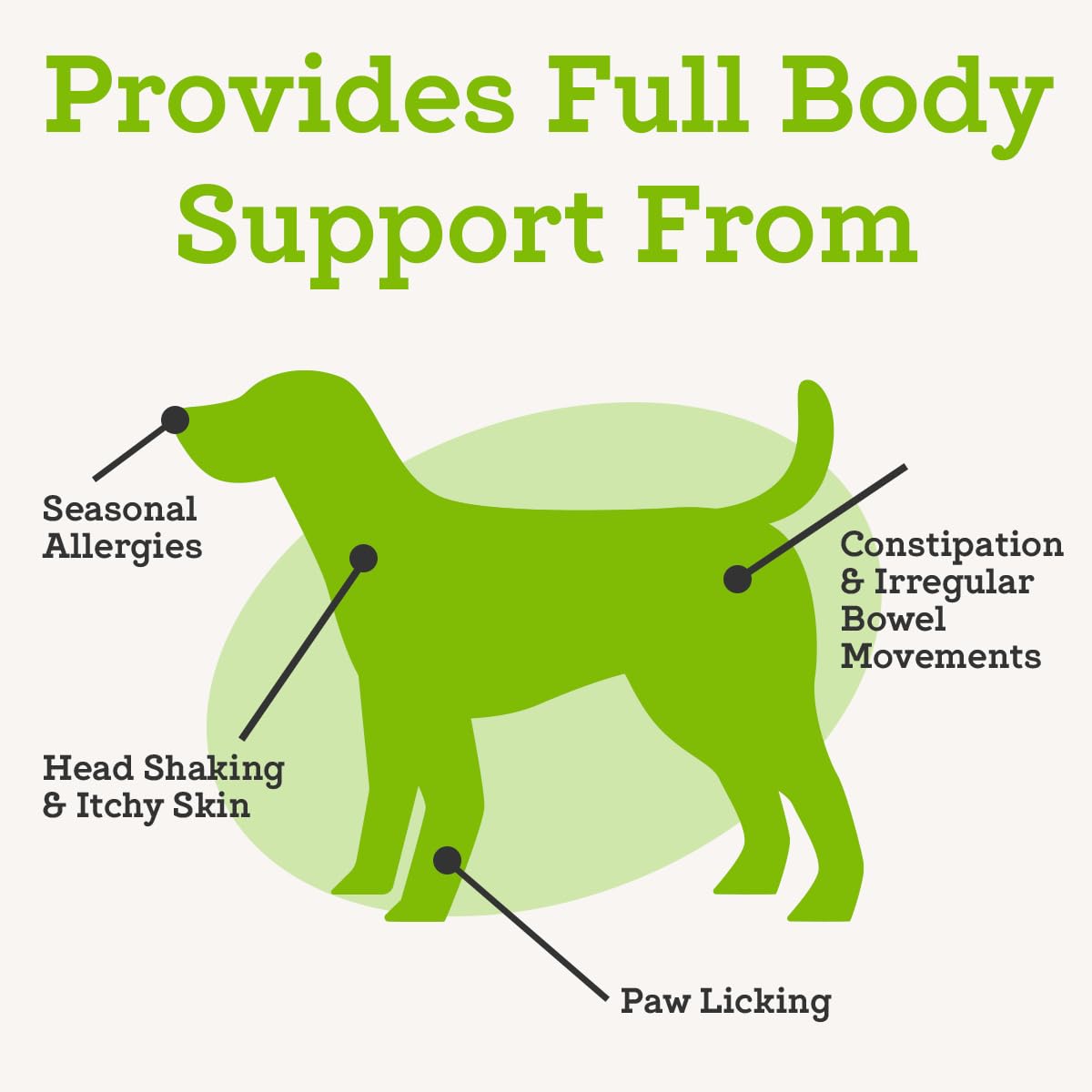 VetPro Complete supports digestive health in dogs for steady meals.