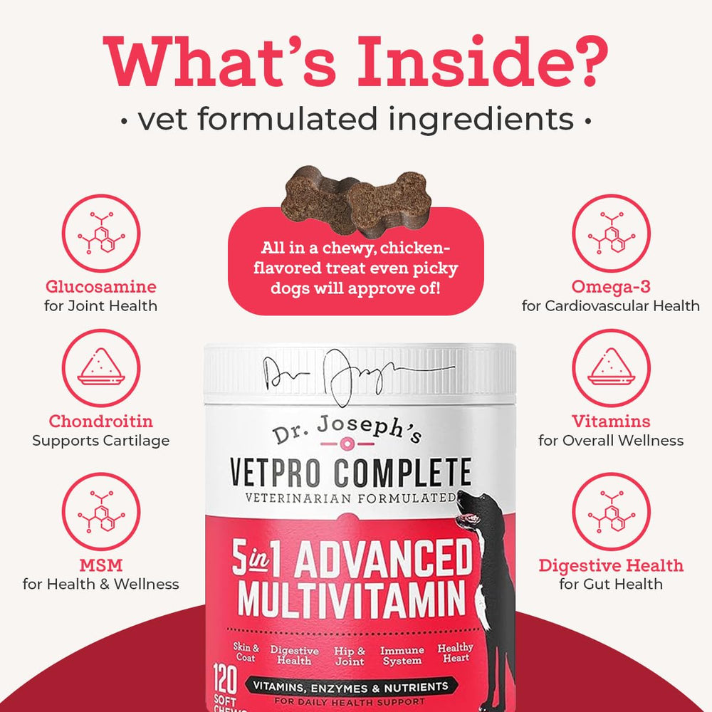 VetPro Complete dog paw joy scene illustrates an active lifestyle support.