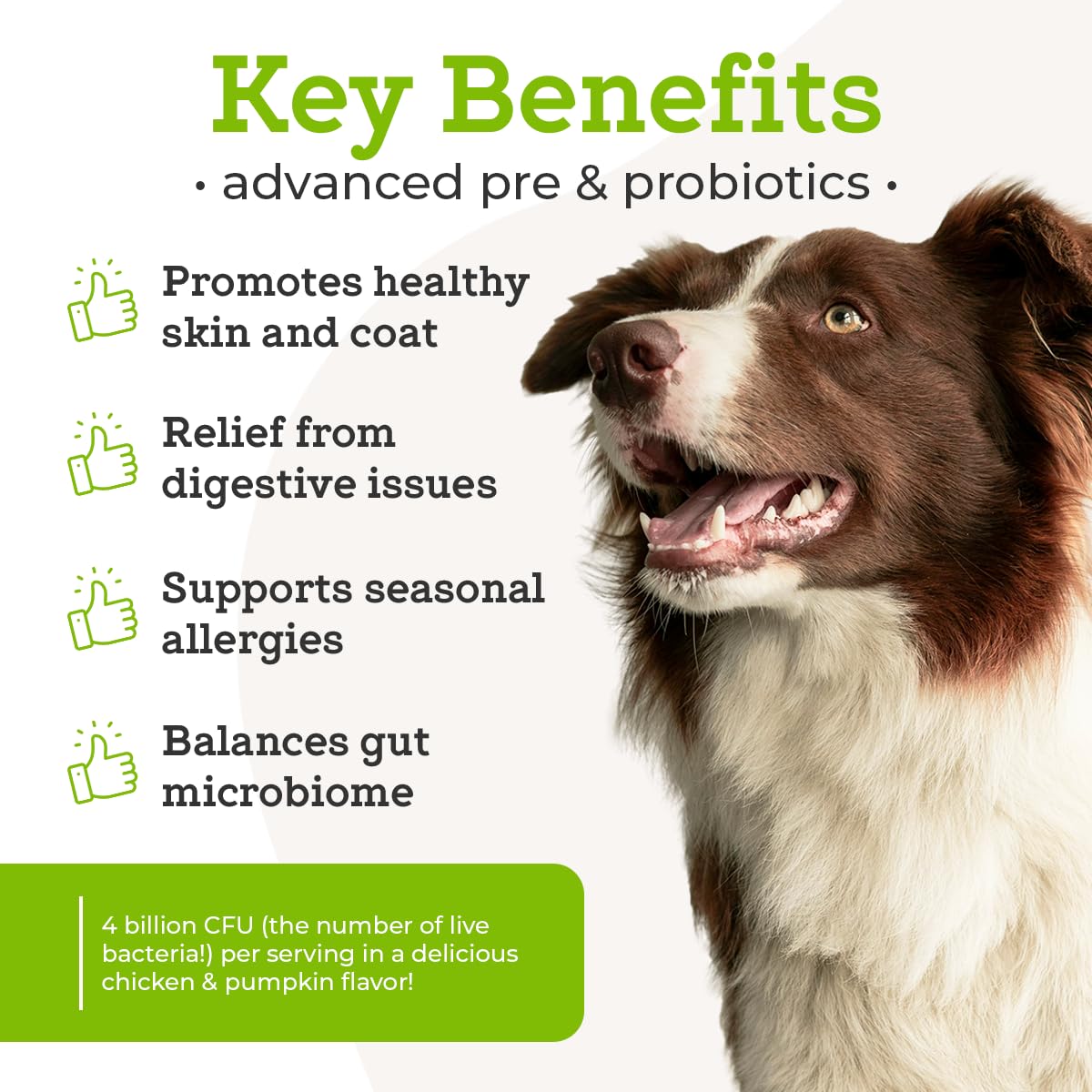 VetPro Complete dog probiotics scoop for easy administration.