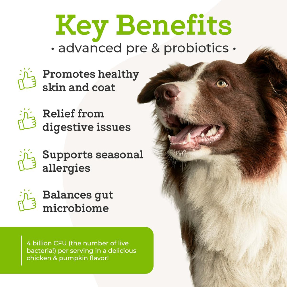 VetPro Complete dog probiotics scoop for easy administration.