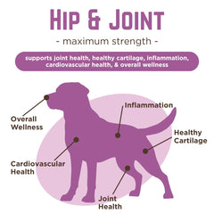 Ingredient panel highlights glucosamine and omega-3s for joint care