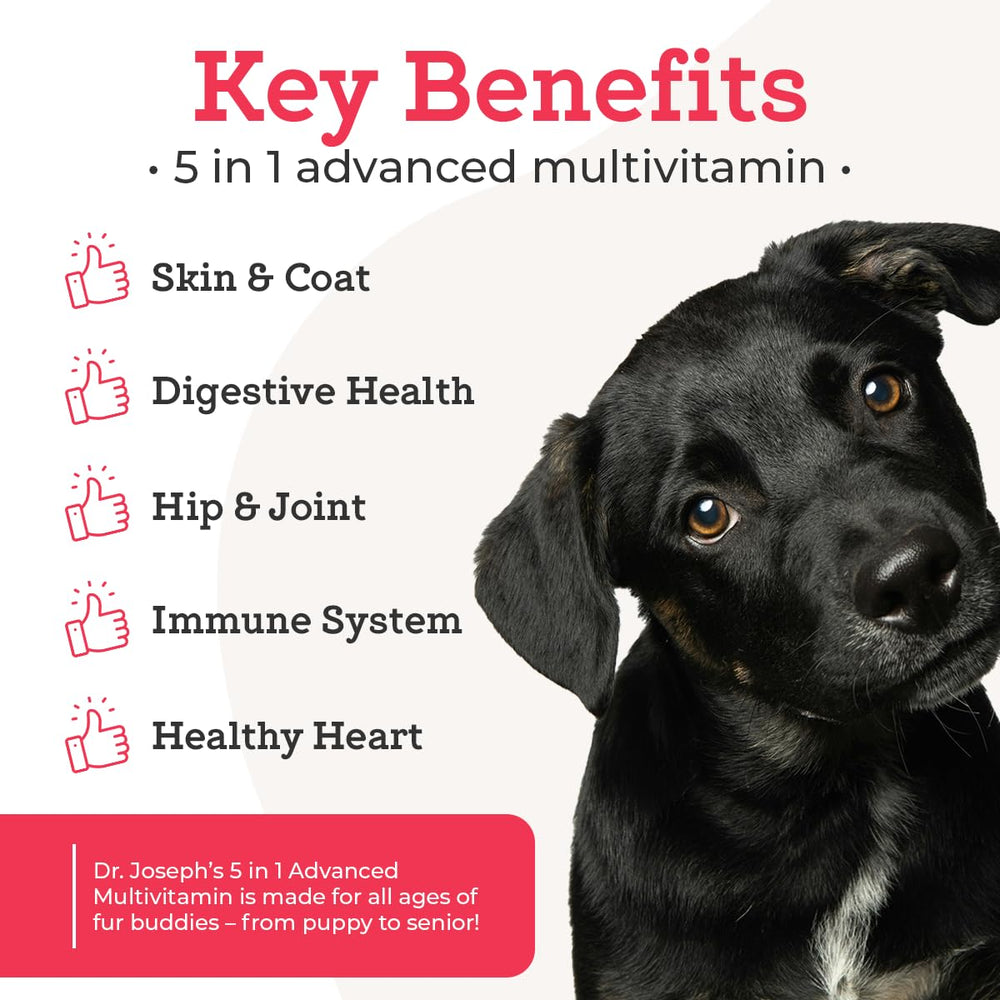 VetPro Complete joint mobility chew with glucosamine close-up for active dogs.
