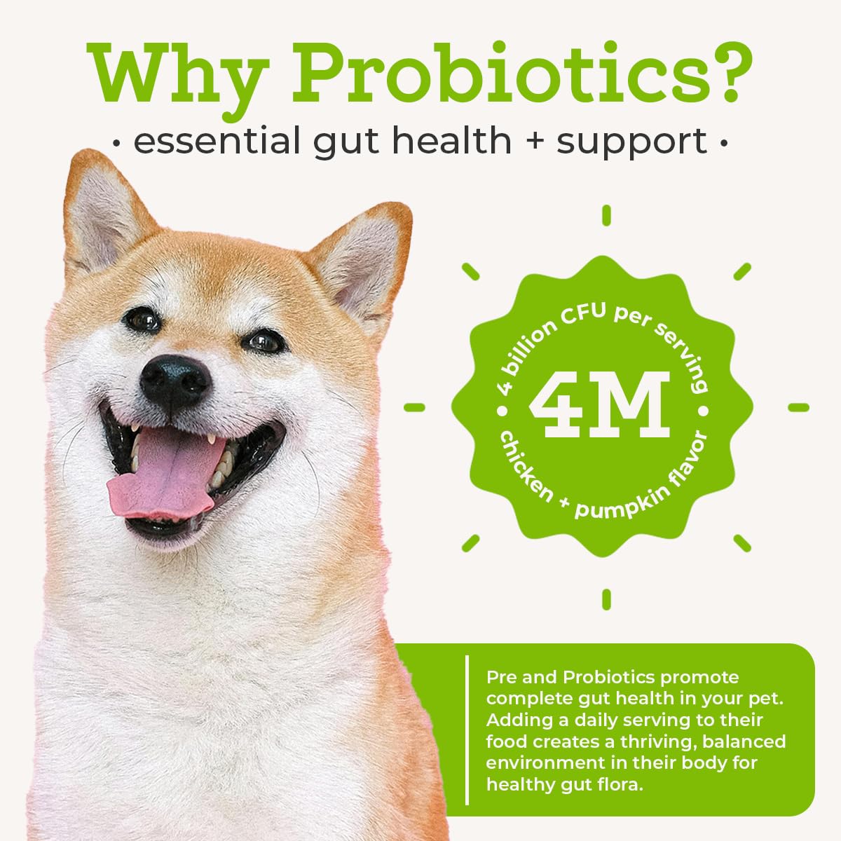 VetPro Complete omega-3 flaxseed supports skin and coat health.