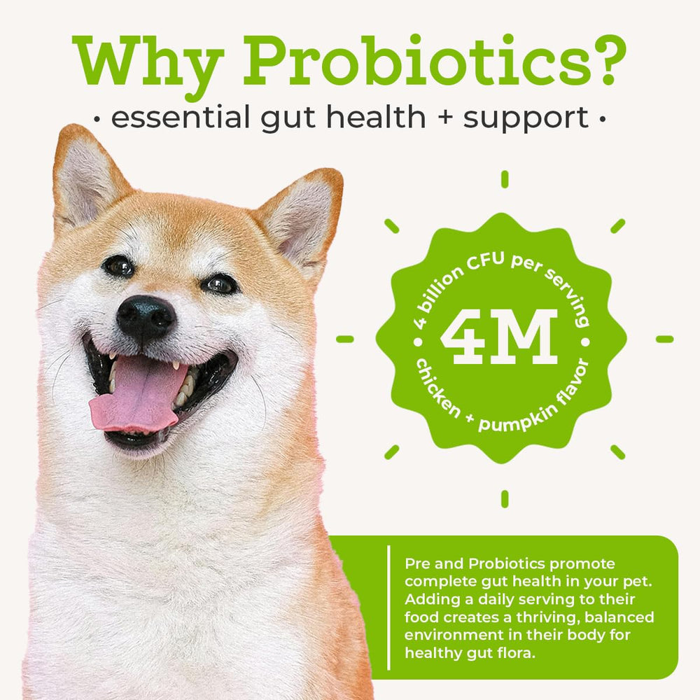 VetPro Complete omega-3 flaxseed supports skin and coat health.