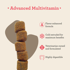 VetPro Complete probiotic chew close-up highlighting digestive benefits.