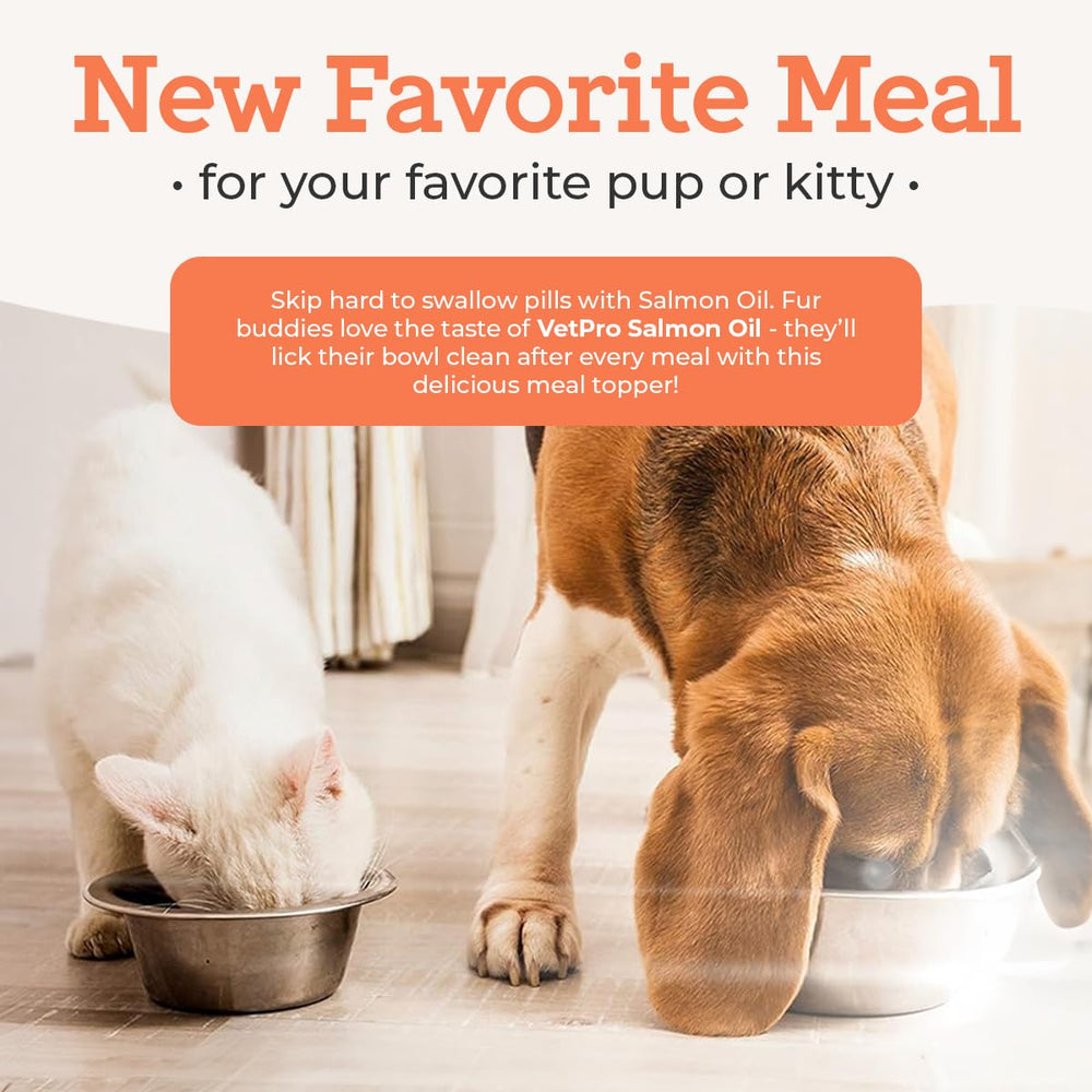 Cat eating VetPro Complete salmon oil on its dish during feeding
