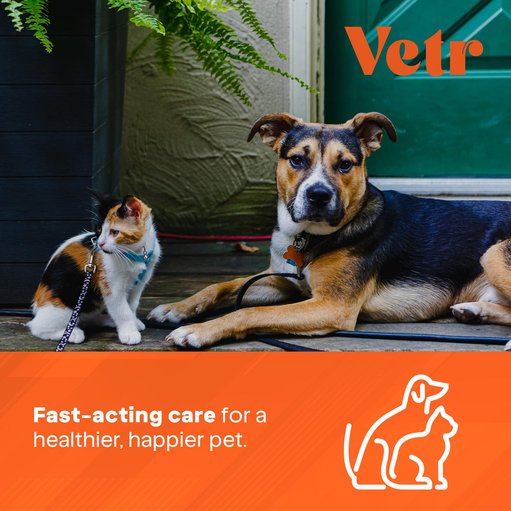 Pets benefit from easier digestion with Vetr PraziMax.