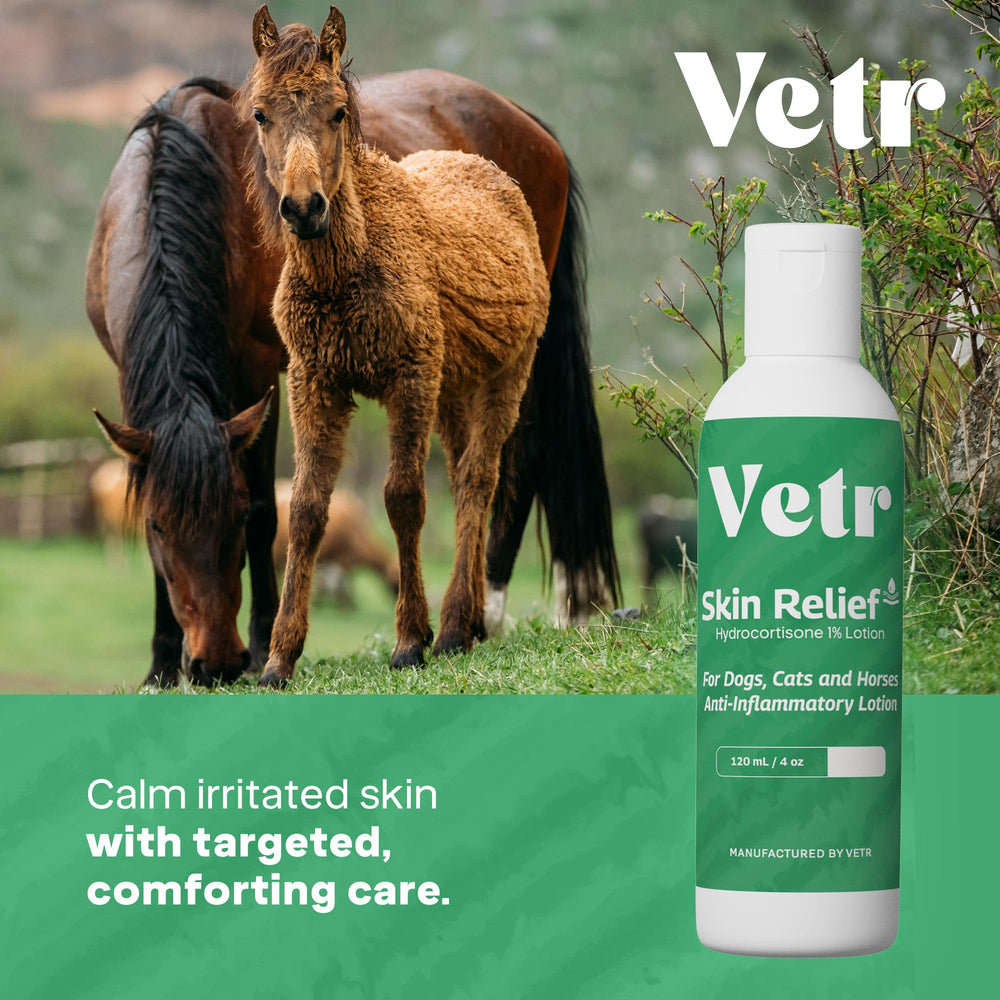 Vetr Skin Relief fragrance-free formula helps sensitive dogs with gentle application.