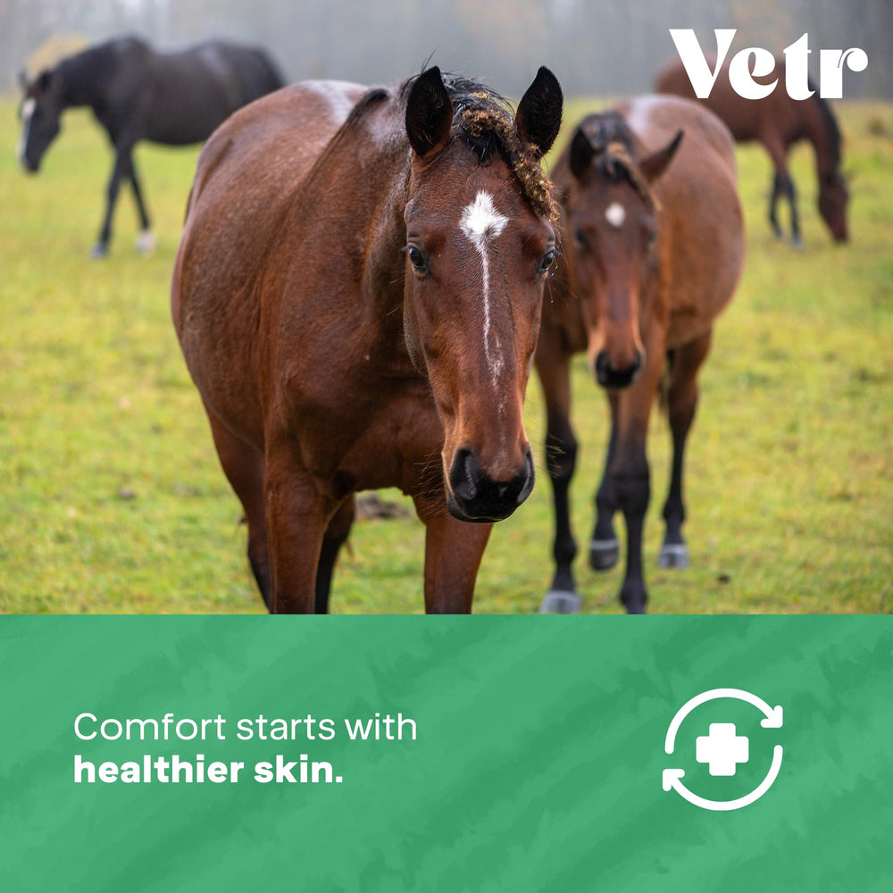 Vetr Skin Relief non-stinging quick-absorbing gel is easy to apply.