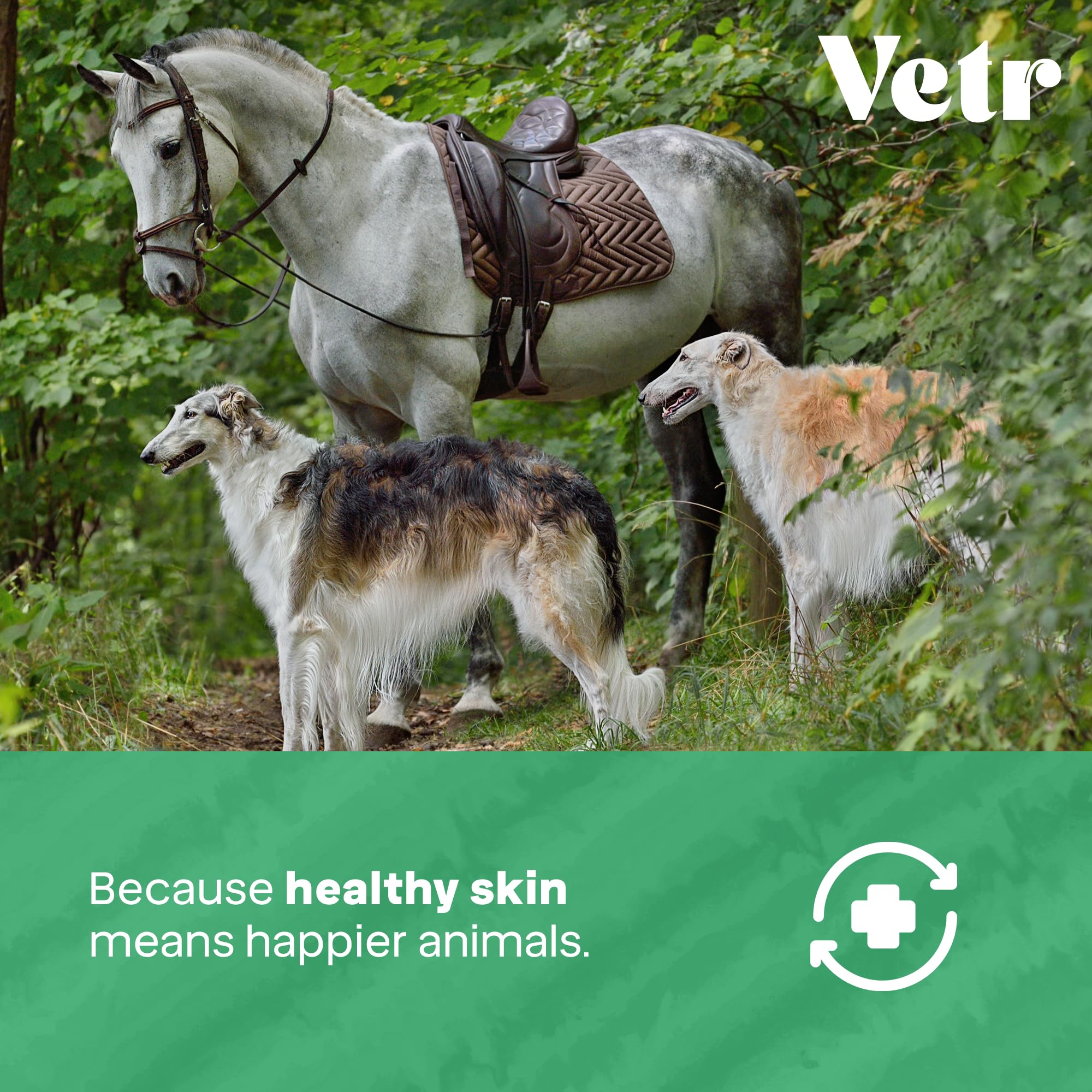 Vetr Skin Relief non-stinging spray on a dog’s irritated area.