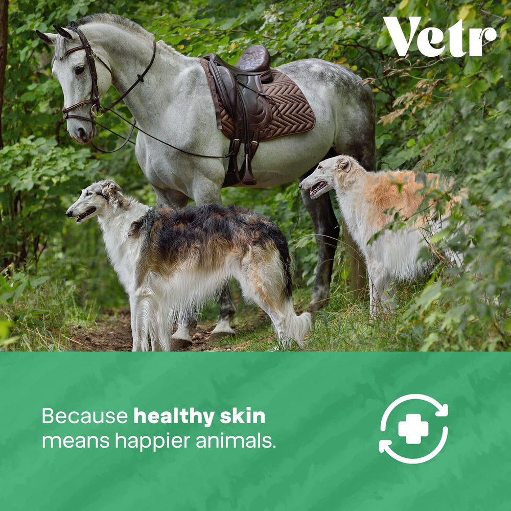 Vetr Skin Relief non-stinging spray on a dog’s irritated area.
