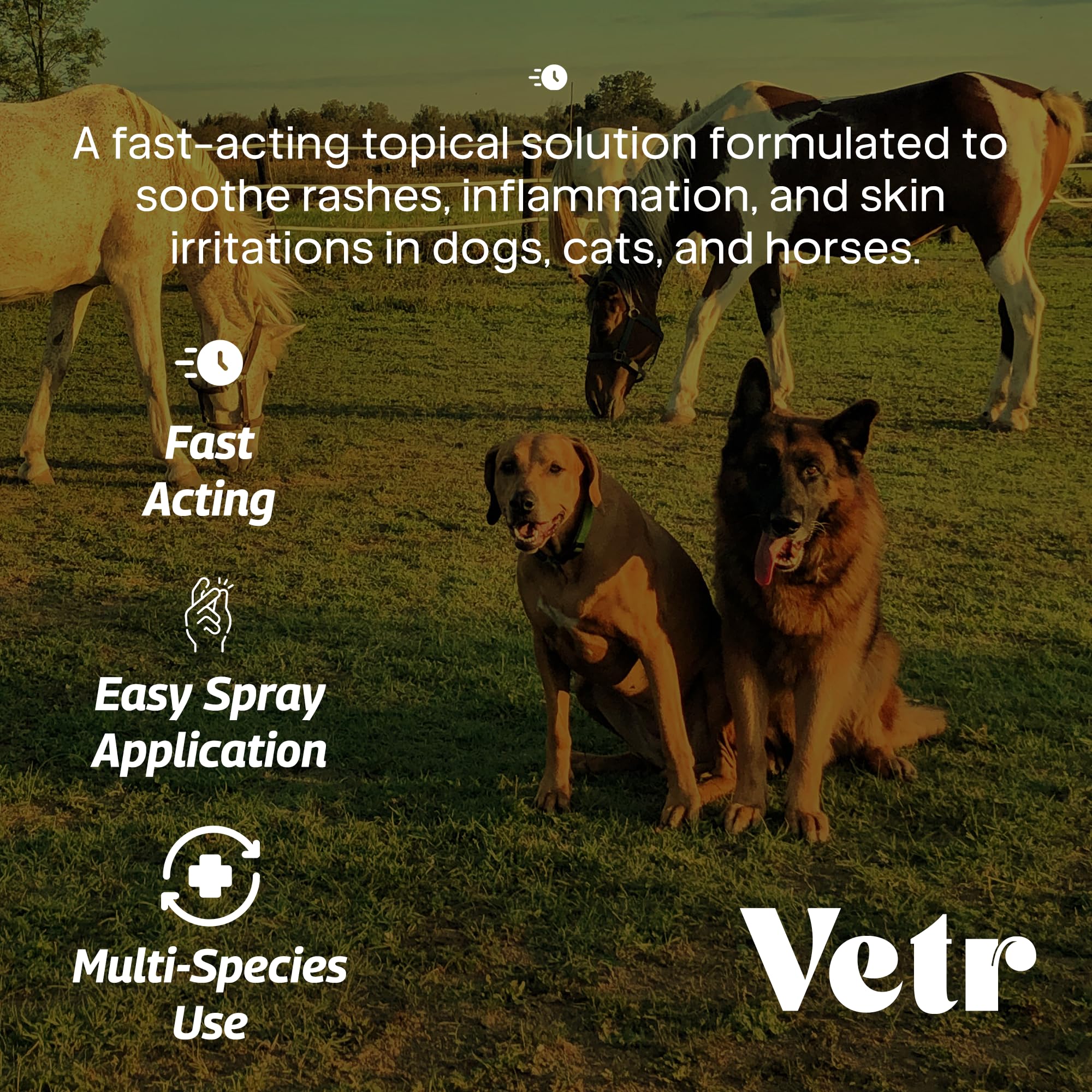 Applying Vetr Skin Relief spray to irritated area demonstrates quick-drying formula.