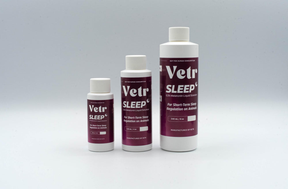 VETR Sleep pet resting scene illustrates a peaceful moment.
