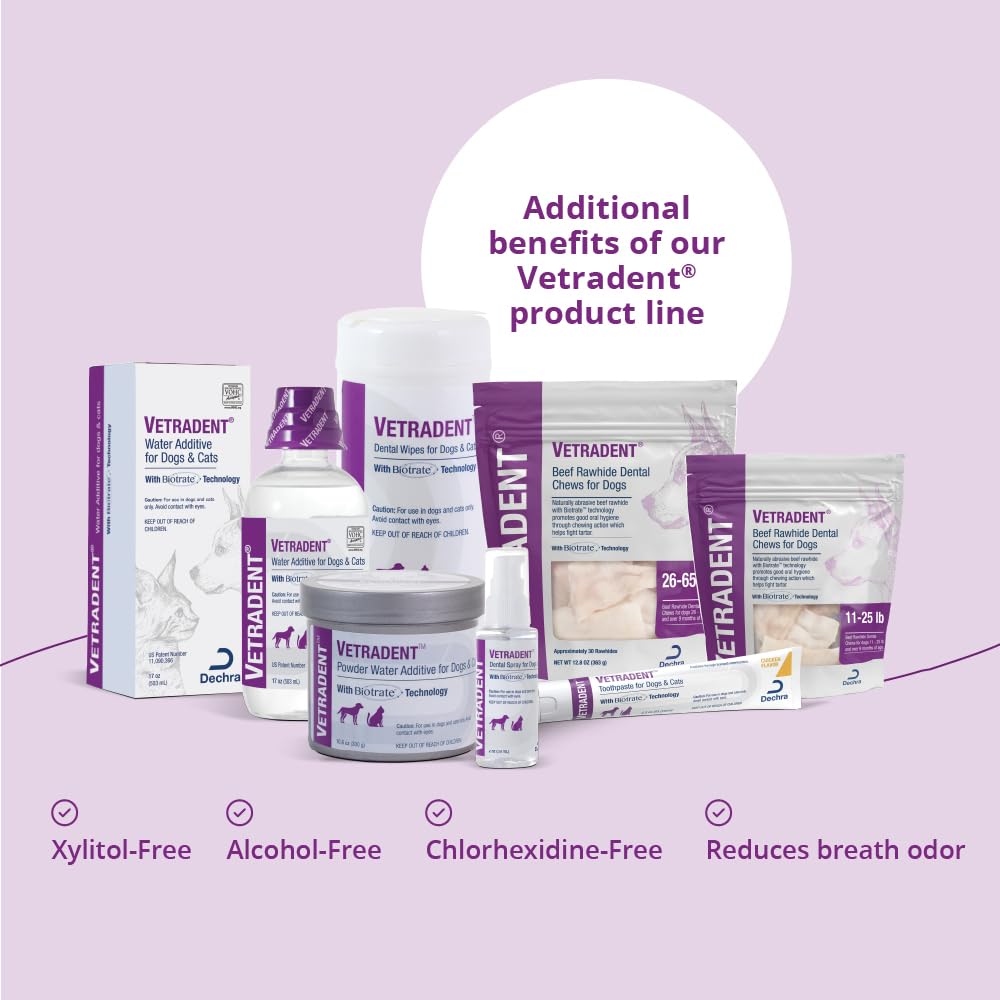 Dog-friendly use of Vetradent wipes for easy at-home dental care.