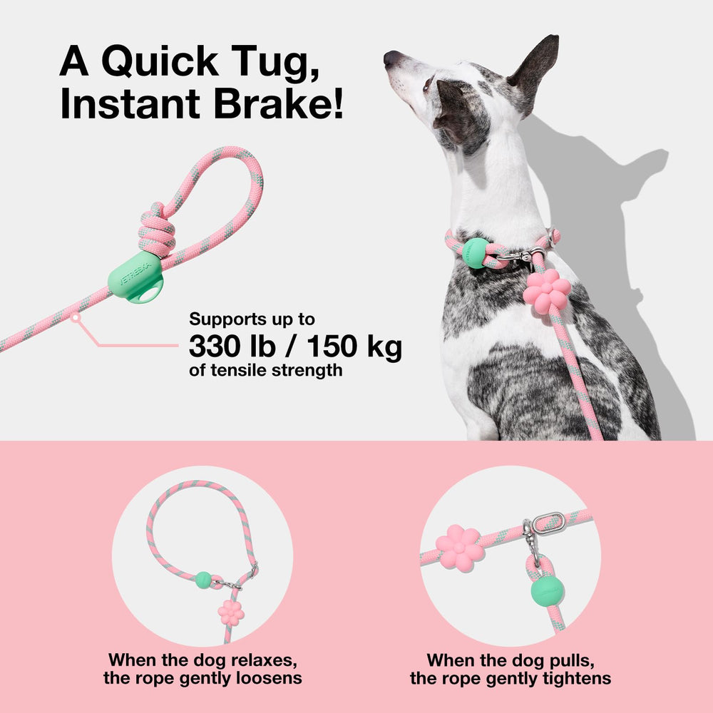 VETRESKA adjustable rope leash extends from 4.4 to 8.2 feet for versatile walks