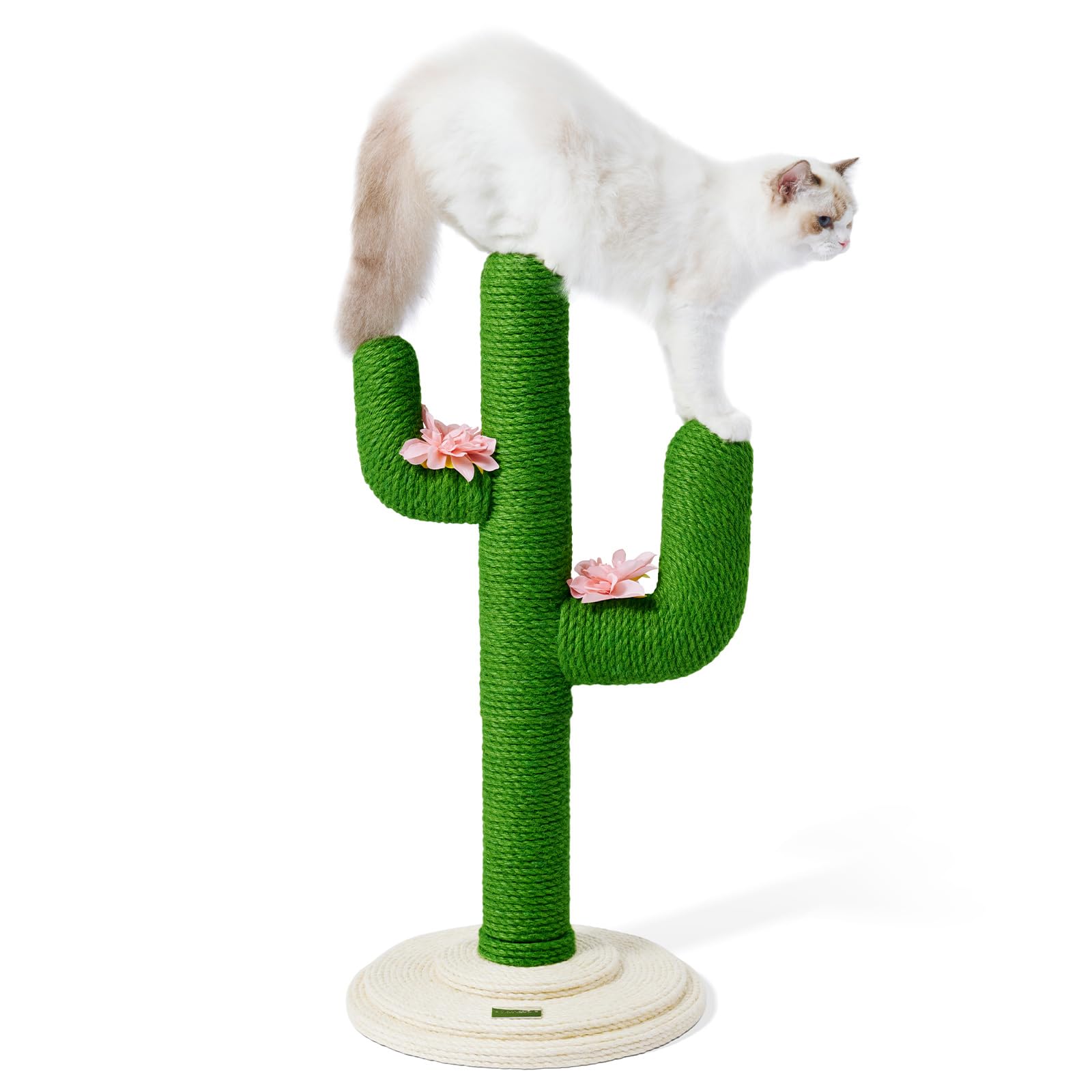 Vetreska cactus cat tree top view for elevated lounging and supervision