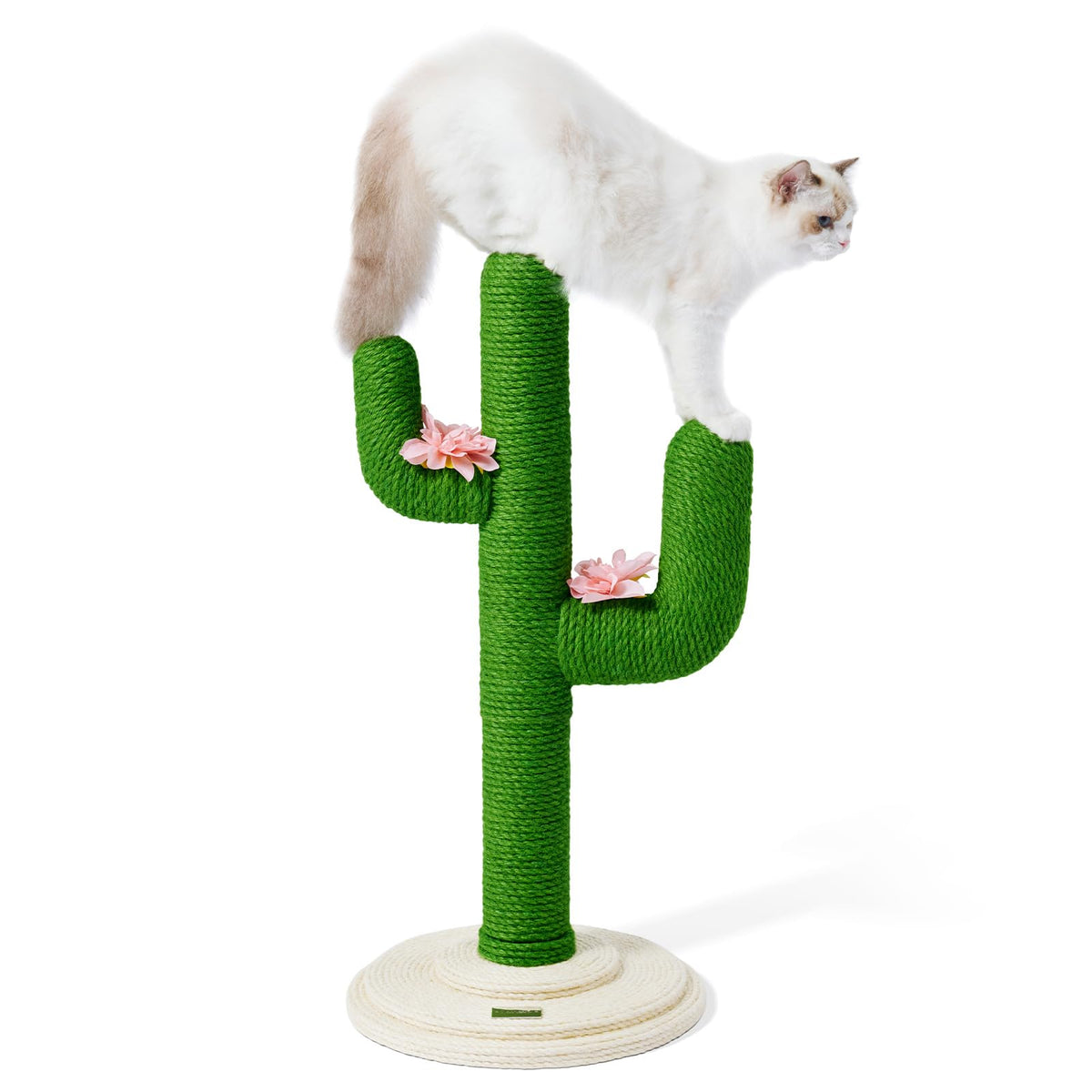 Vetreska cactus cat tree top view for elevated lounging and supervision