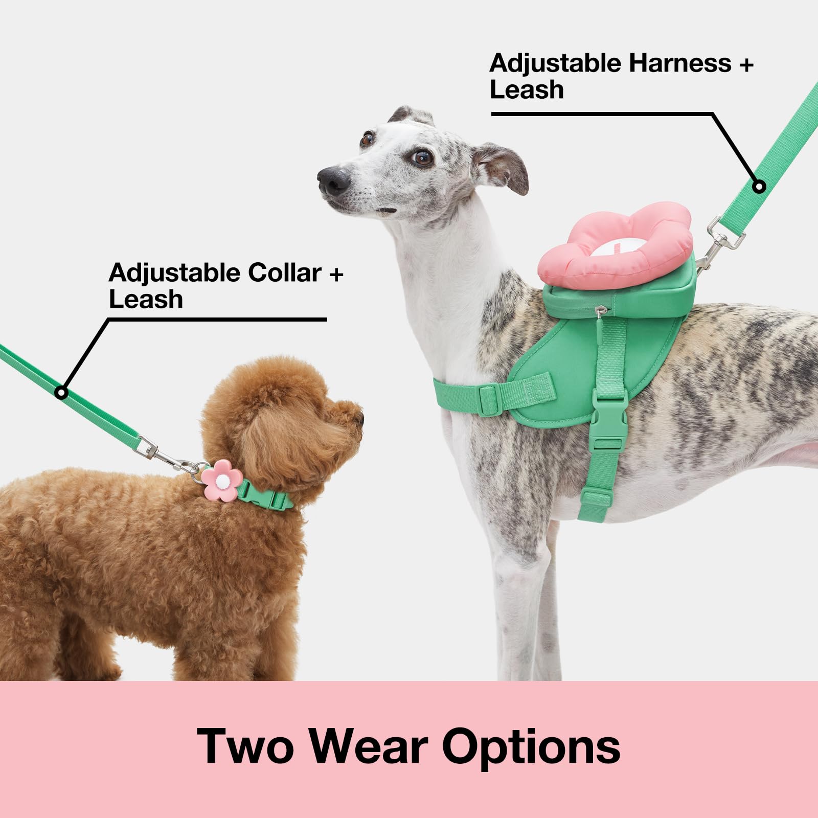 VETRESKA Flora collar-adjustable fit for growing dogs.