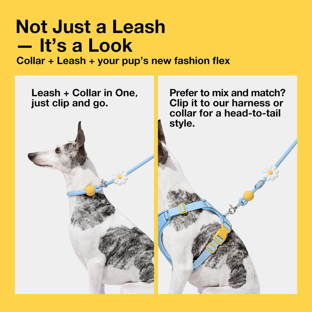 VETRESKA poop bag dispenser clip keeps essentials handy on walks.