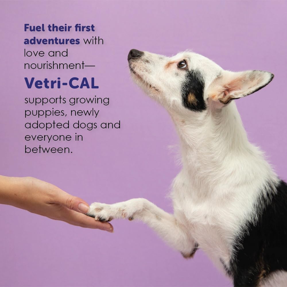 Vetri-CAL dogs and cats health support image shows vitality.