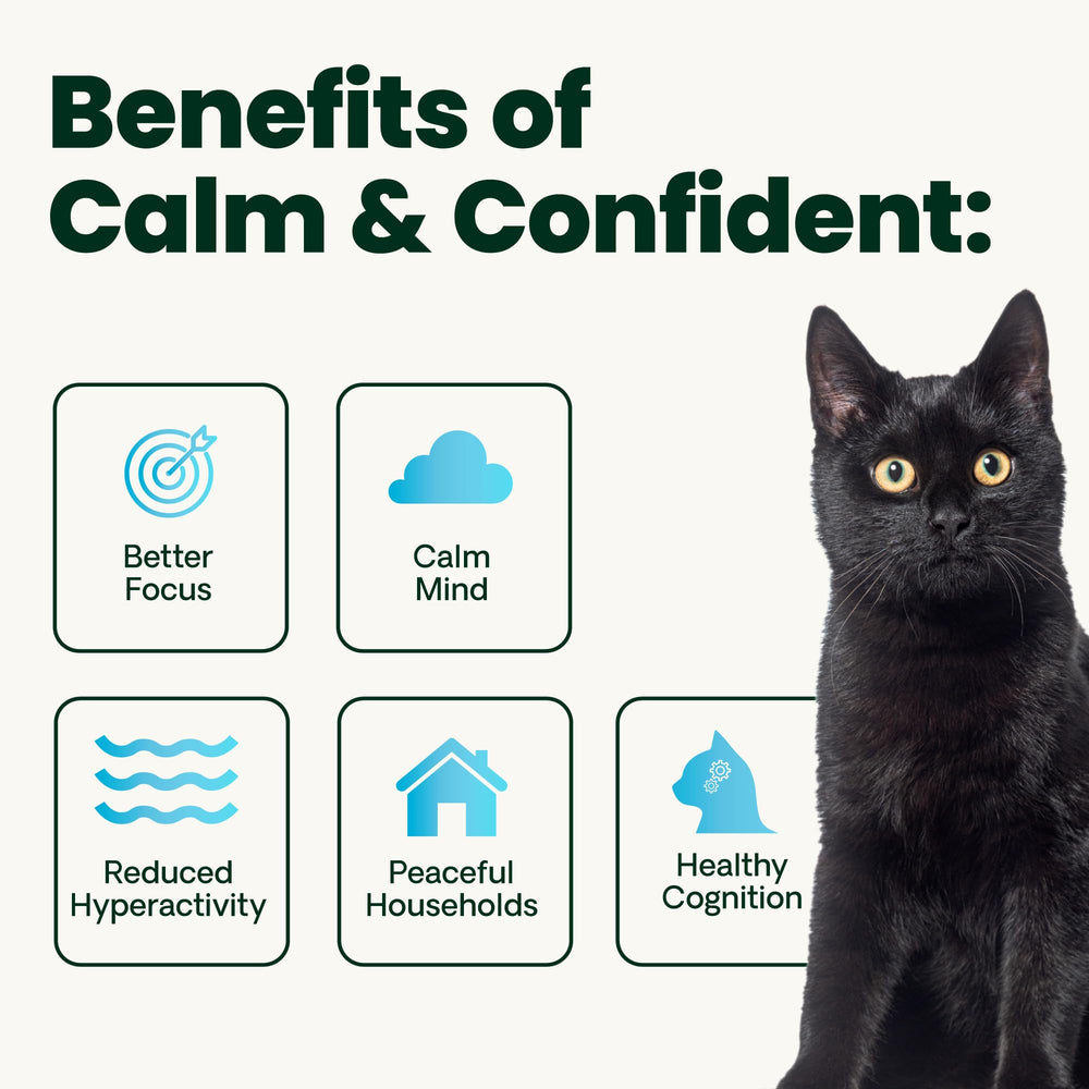 Cat resting calmly with VetriScience Calm & Confident Liquid nearby.