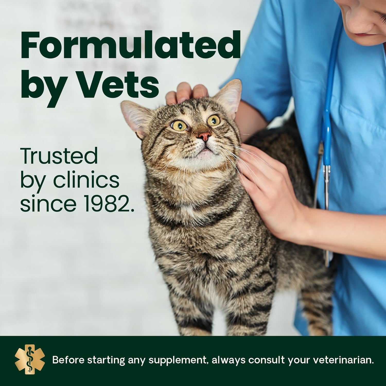 Cat happily chewing VetriScience treat, tasty joint support