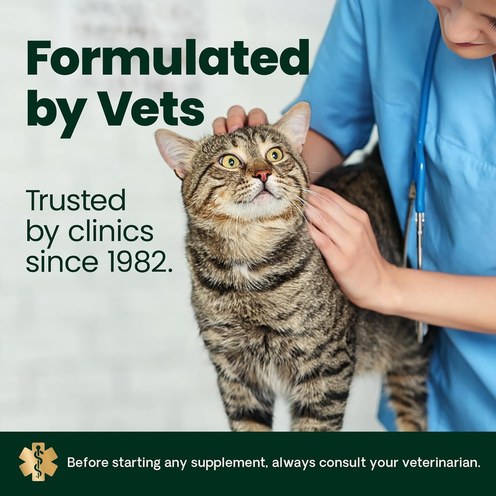 Cat happily chewing VetriScience treat, tasty joint support