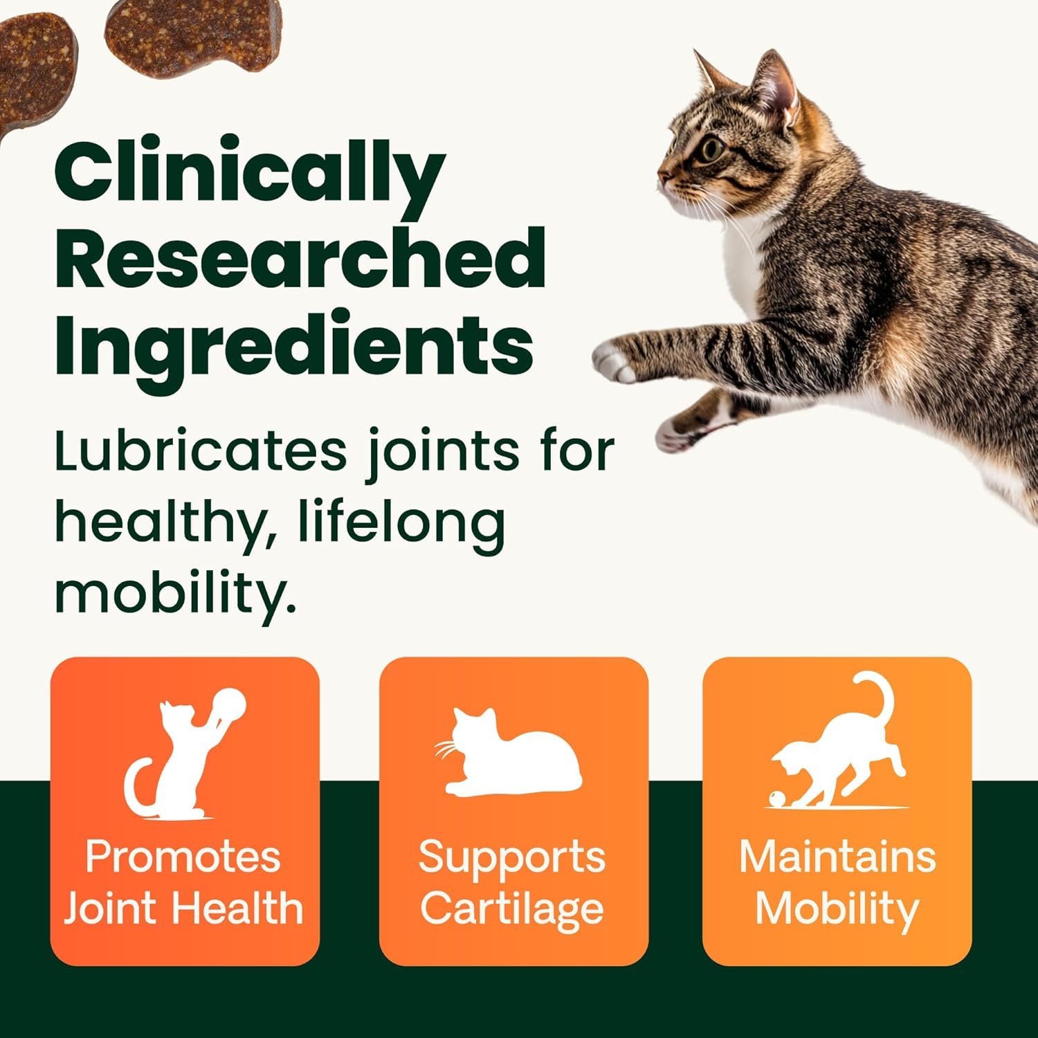 Green-lipped mussel ingredient visual highlights natural joint lubrication support