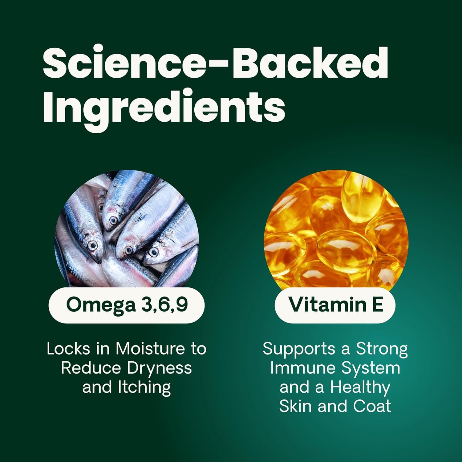 VetriScience Omega Healthy Skin bottle pour demonstrates simple dosing routine