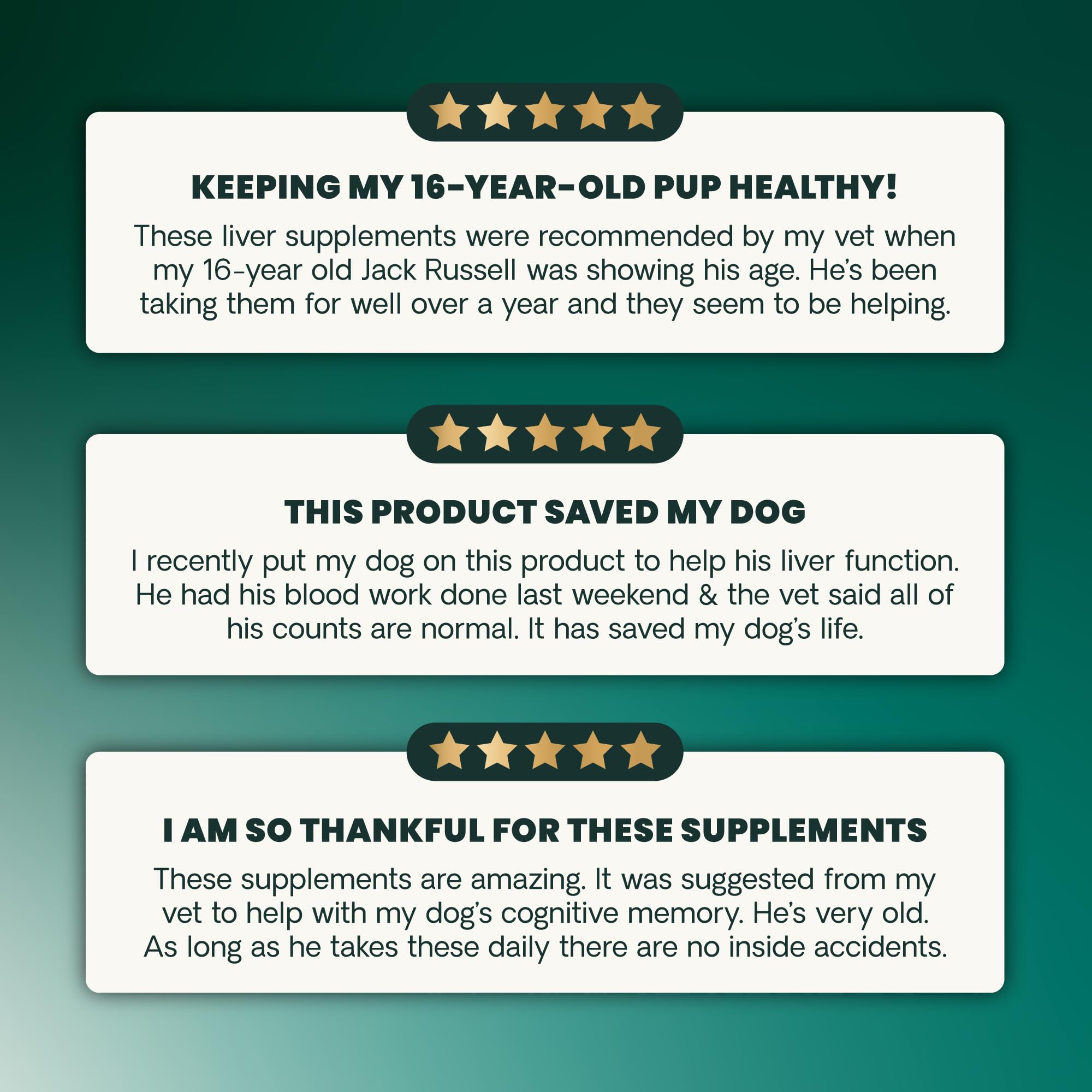 An aging pet with VetriScience SAMe; potential cognitive wellness support.