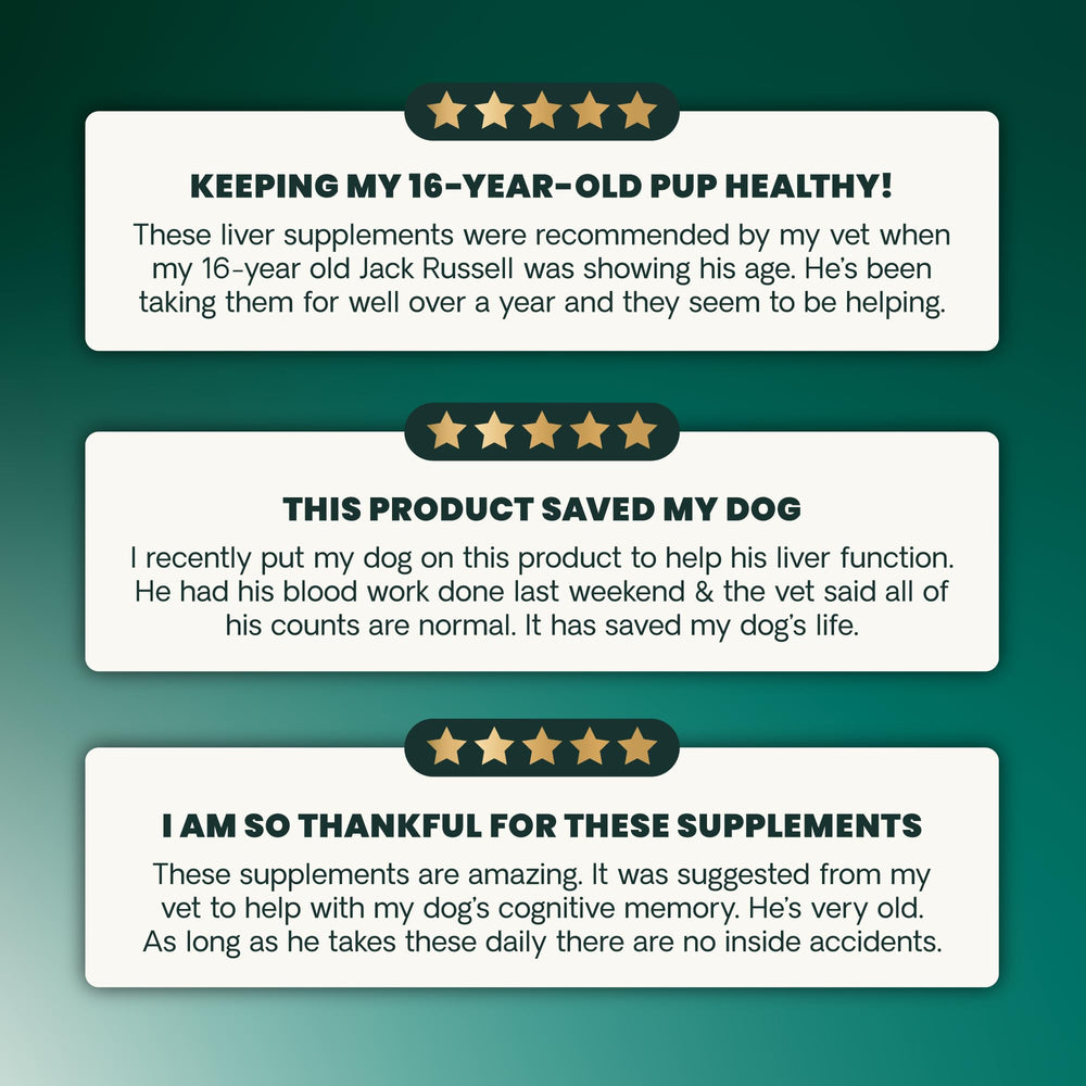 An aging pet with VetriScience SAMe; potential cognitive wellness support.