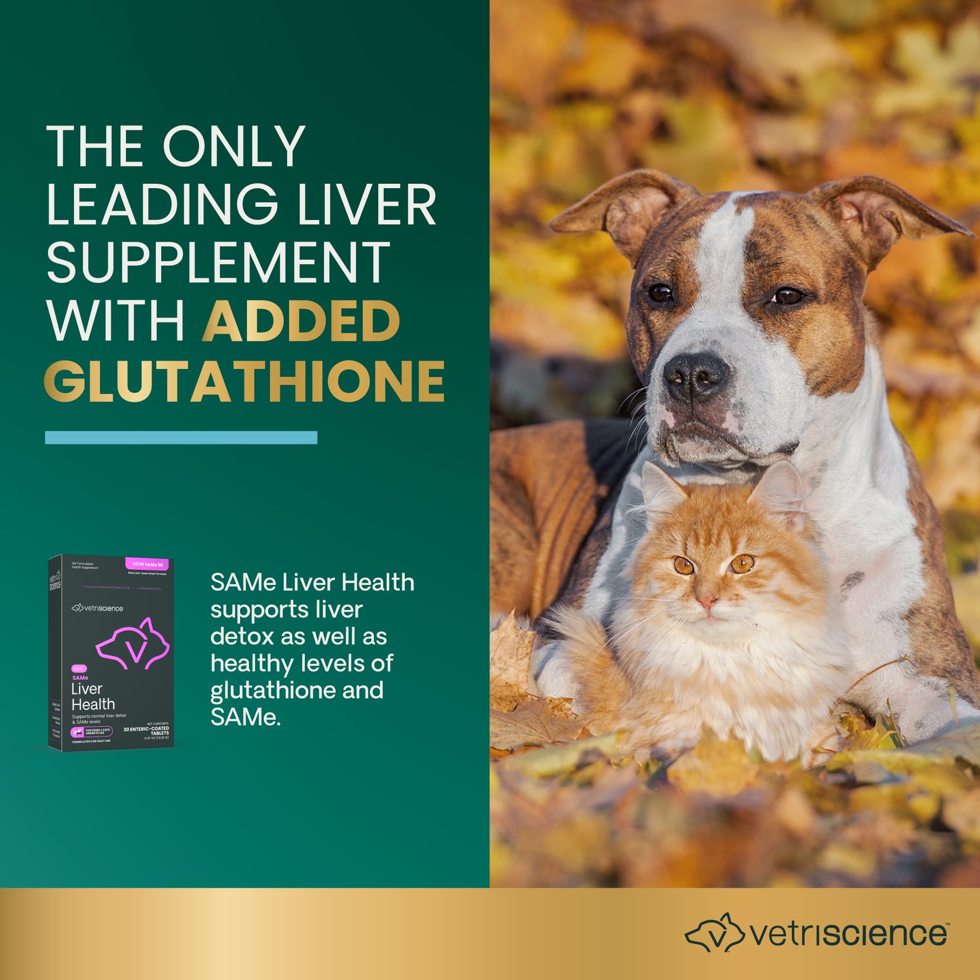 Enteric-coated VetriScience SAMe tablet protecting SAMe during digestion.