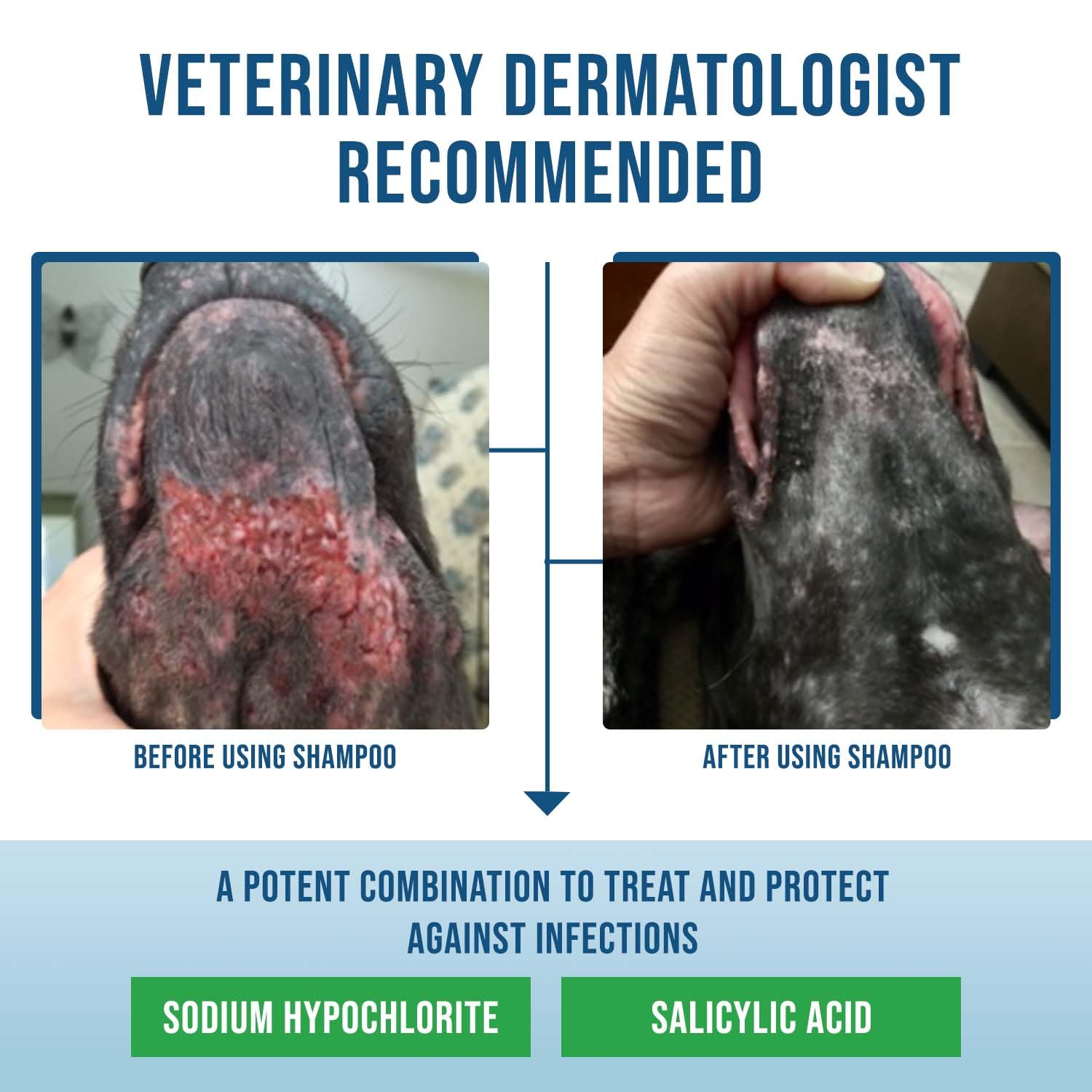VetriMAX Command safe for daily use on dogs with allergies