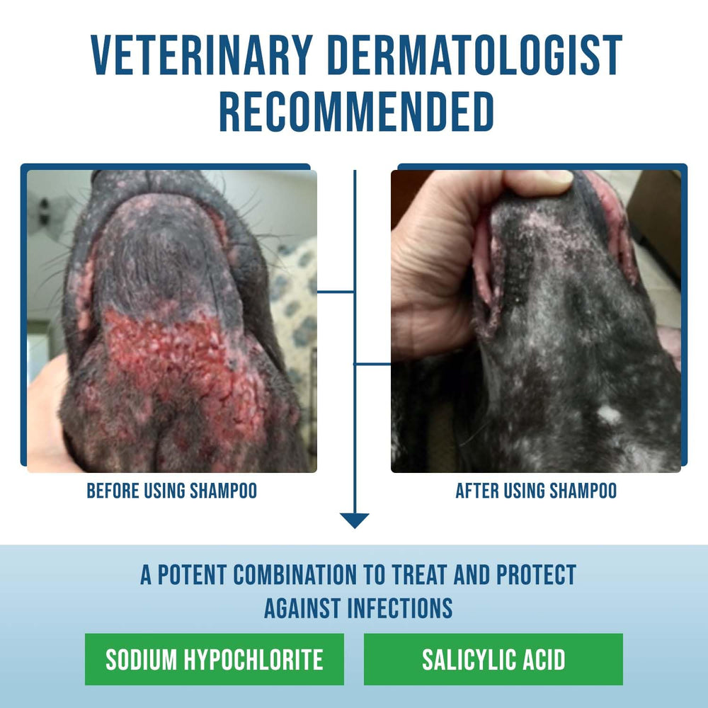 VetriMAX Command safe for daily use on dogs with allergies