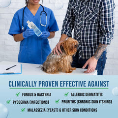 VetriMAX Command shampoo on a dog's paw after outdoor play for cleanliness