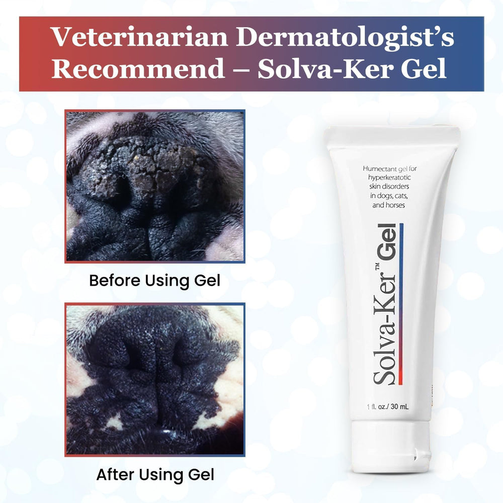 VetriMAX steady gel supports daily care for dry noses and paws.