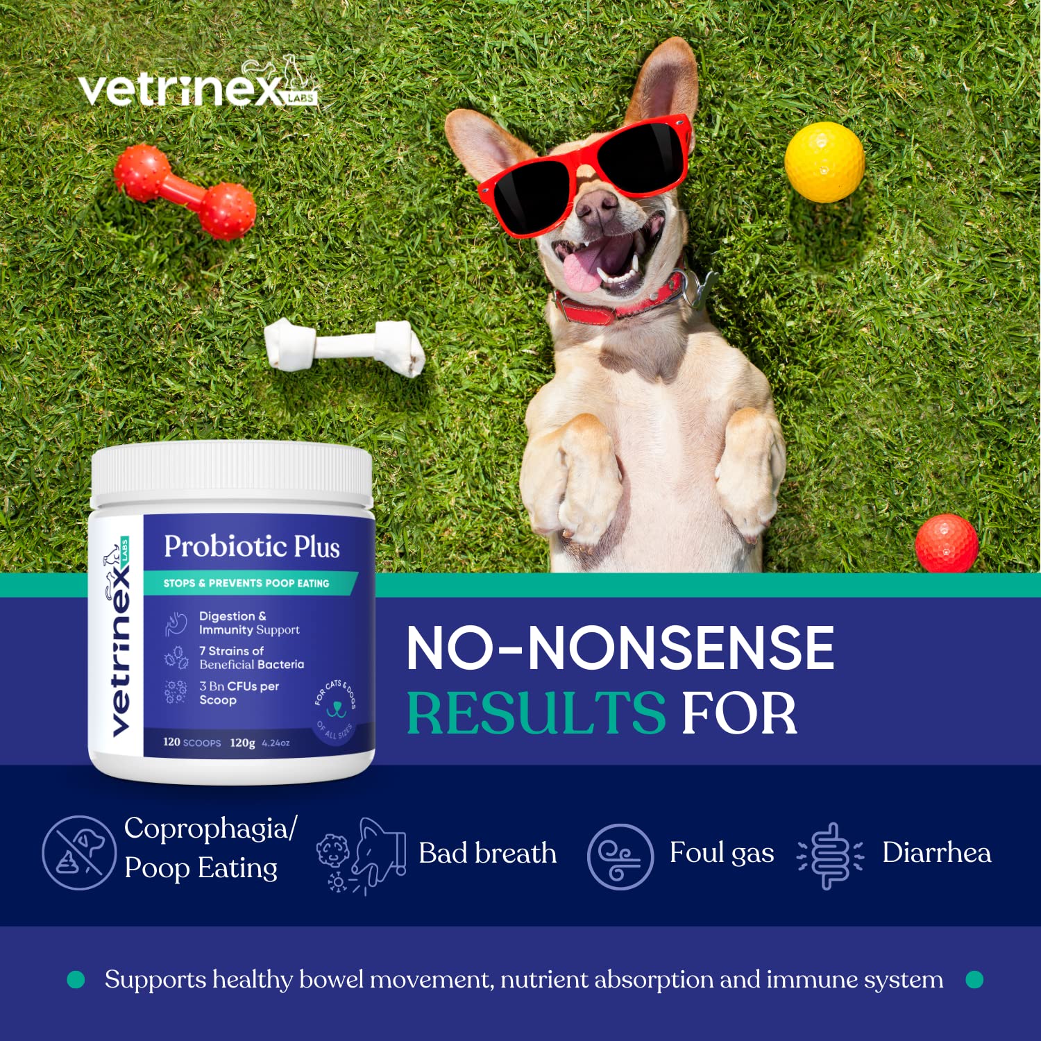 Vetrinex Labs seven-strain probiotic for pet gut health.
