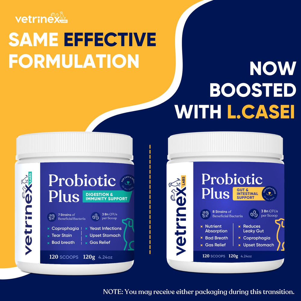 Vetrinex Labs digestive enzymes blend assists post-meal digestion.